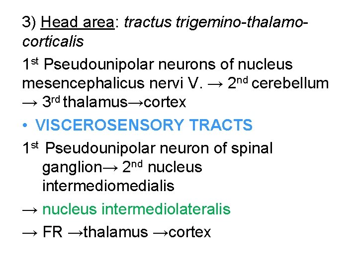 3) Head area: tractus trigemino-thalamocorticalis 1 st Pseudounipolar neurons of nucleus mesencephalicus nervi V.