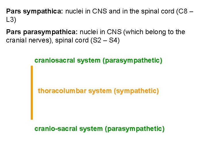 Pars sympathica: nuclei in CNS and in the spinal cord (C 8 – L