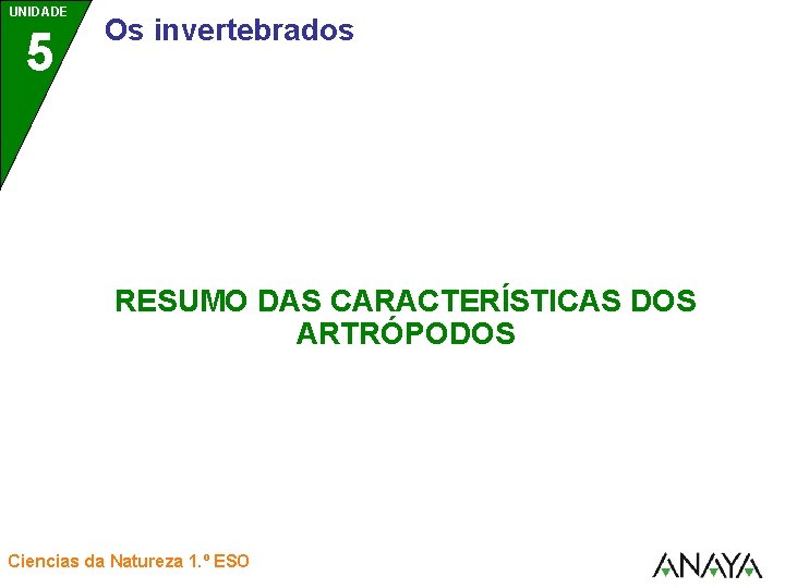 UNIDADE 5 Os invertebrados RESUMO DAS CARACTERÍSTICAS DOS ARTRÓPODOS Ciencias da Natureza 1. º