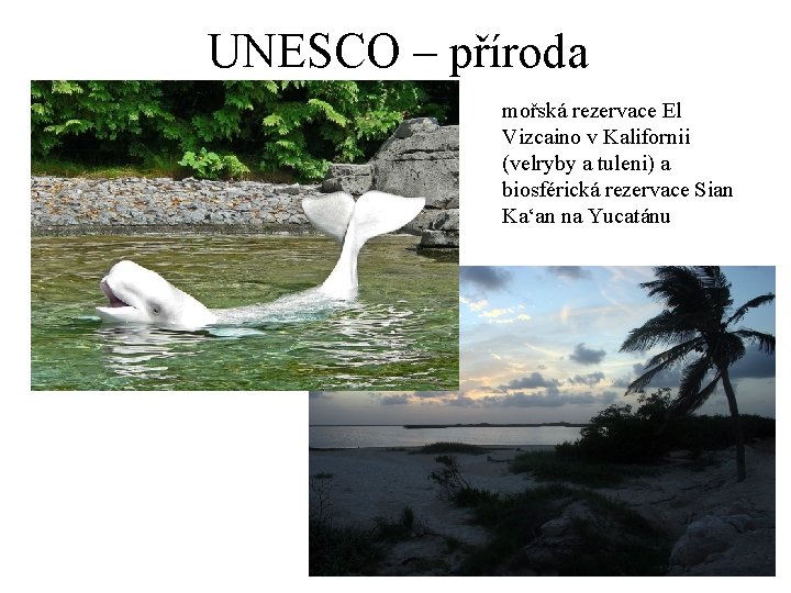 UNESCO – příroda mořská rezervace El Vizcaino v Kalifornii (velryby a tuleni) a biosférická