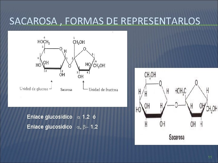 SACAROSA , FORMAS DE REPRESENTARLOS Enlace glucosídico 1, 2 ó Enlace glucosidico , -