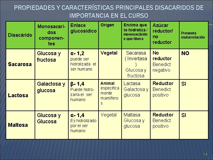 PROPIEDADES Y CARACTERÍSTICAS PRINCIPALES DISACARIDOS DE IMPORTANCIA EN EL CURSO Disacárido Sacarosa Lactosa Maltosa