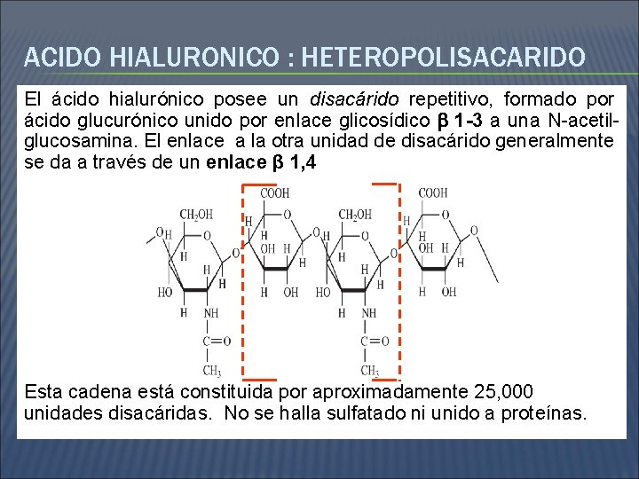 ACIDO HIALURONICO : HETEROPOLISACARIDO El ácido hialurónico posee un disacárido repetitivo, formado por ácido
