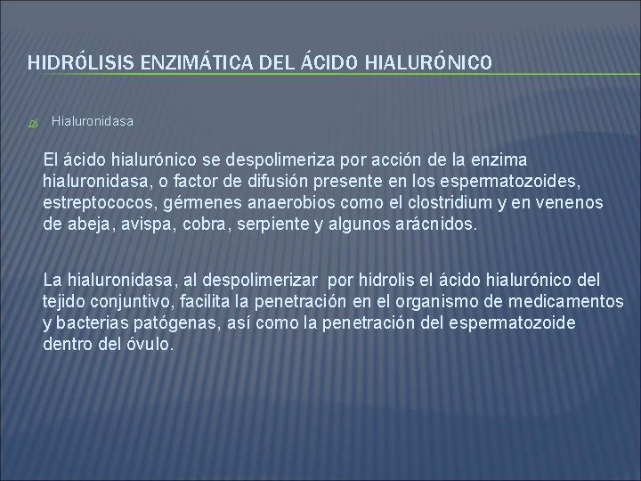 HIDRÓLISIS ENZIMÁTICA DEL ÁCIDO HIALURÓNICO Hialuronidasa El ácido hialurónico se despolimeriza por acción de