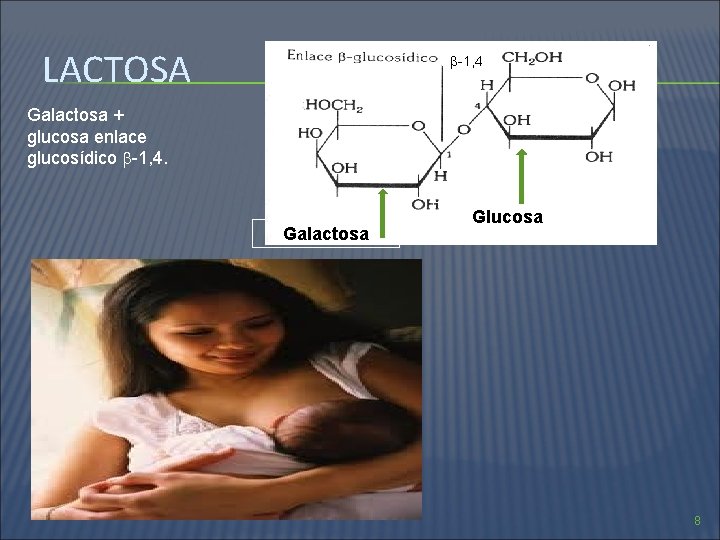 LACTOSA Ββ-1, 4 Galactosa + glucosa enlace glucosídico -1, 4. Galactosa Glucosa 8 
