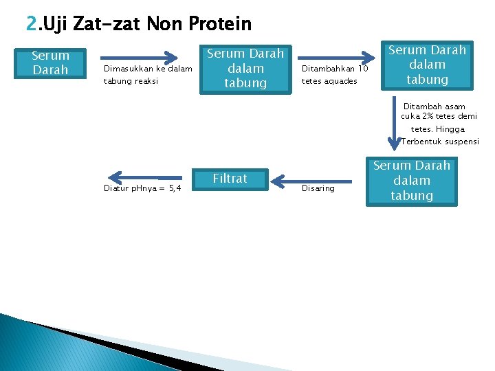 2. Uji Zat-zat Non Protein Serum Darah Dimasukkan ke dalam tabung reaksi Serum Darah