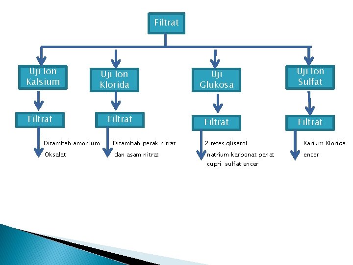 Filtrat Uji Ion Kalsium Uji Ion Klorida Filtrat Ditambah amonium Ditambah perak nitrat Oksalat