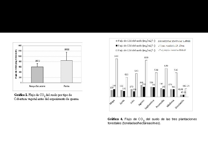 Gráfico 2. Flujo de CO 2 del suelo por tipo de Cobertura vegetal antes