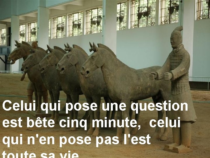 Celui qui pose une question est bête cinq minute, celui qui n'en pose pas