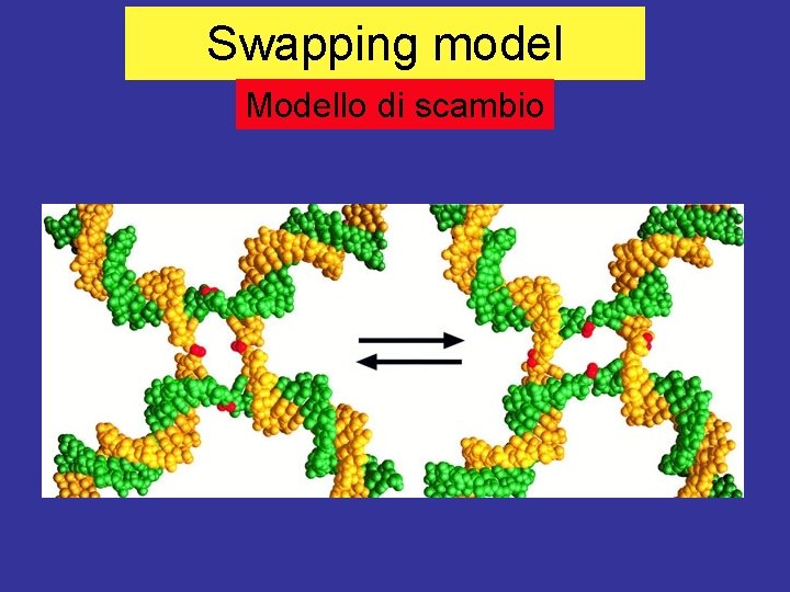 Swapping model Modello di scambio 