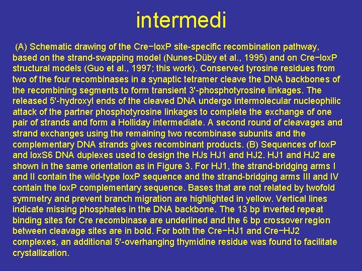 intermedi (A) Schematic drawing of the Cre−lox. P site-specific recombination pathway, based on the