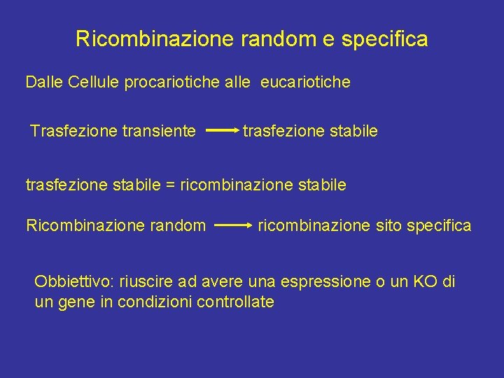 Ricombinazione random e specifica Dalle Cellule procariotiche alle eucariotiche Trasfezione transiente trasfezione stabile =