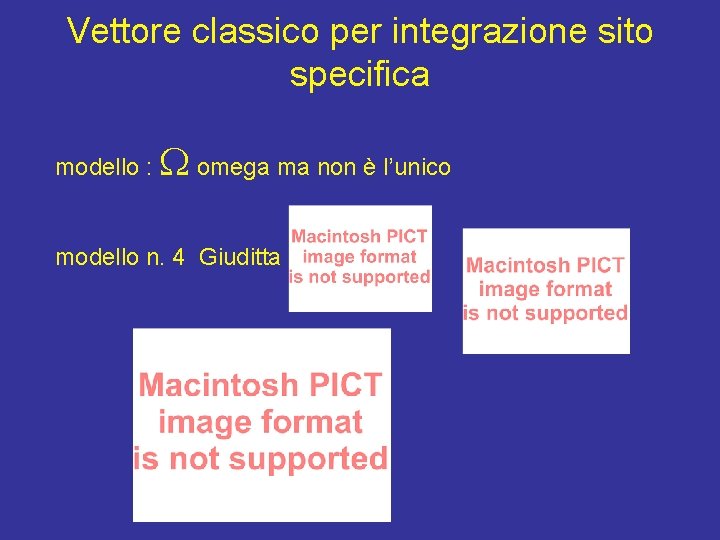 Vettore classico per integrazione sito specifica modello : omega ma non è l’unico modello