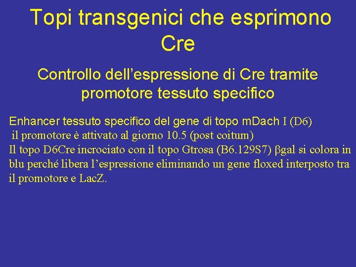 Topi transgenici che esprimono Cre Controllo dell’espressione di Cre tramite promotore tessuto specifico Enhancer