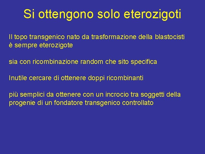Si ottengono solo eterozigoti Il topo transgenico nato da trasformazione della blastocisti è sempre