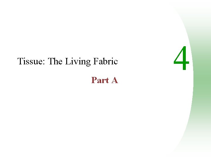 Tissue: The Living Fabric Part A 4 