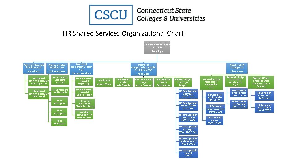 HR Shared Services Organizational Chart Vice President of Human Resources Andy Kripp Director of