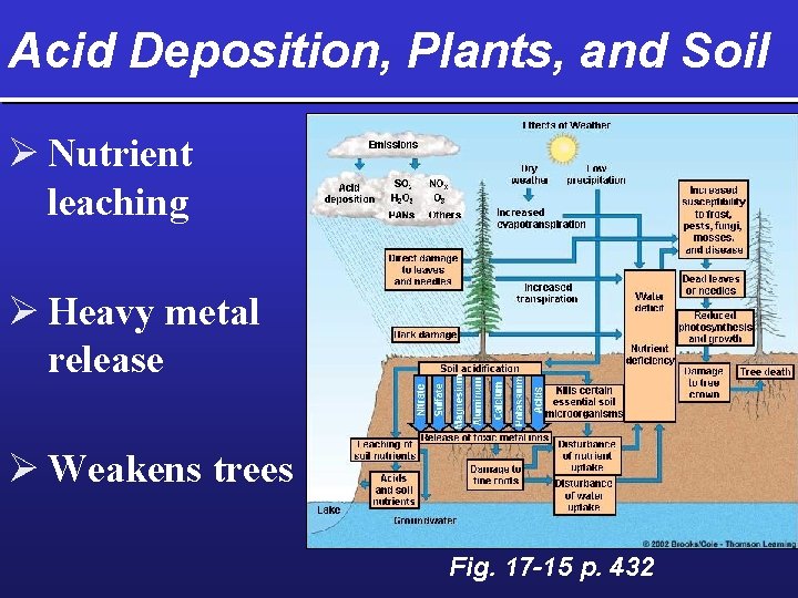 Acid Deposition, Plants, and Soil Ø Nutrient leaching Ø Heavy metal release Ø Weakens