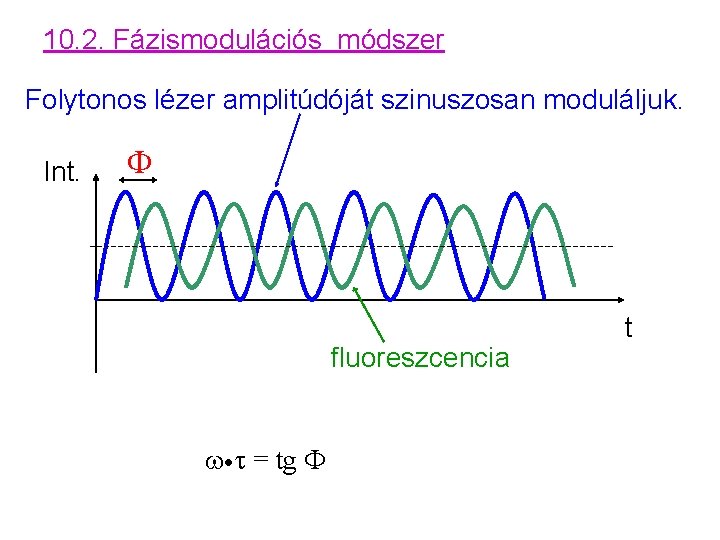 10. 2. Fázismodulációs módszer Folytonos lézer amplitúdóját szinuszosan moduláljuk. Int. F fluoreszcencia ·t =