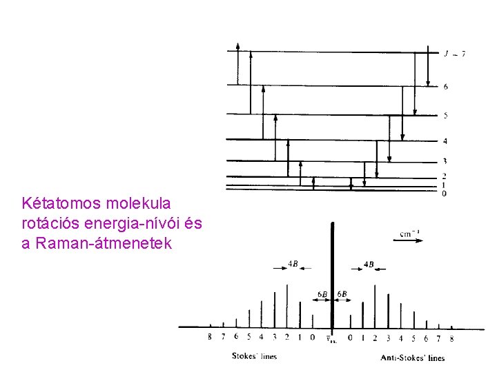 Kétatomos molekula rotációs energia-nívói és a Raman-átmenetek 