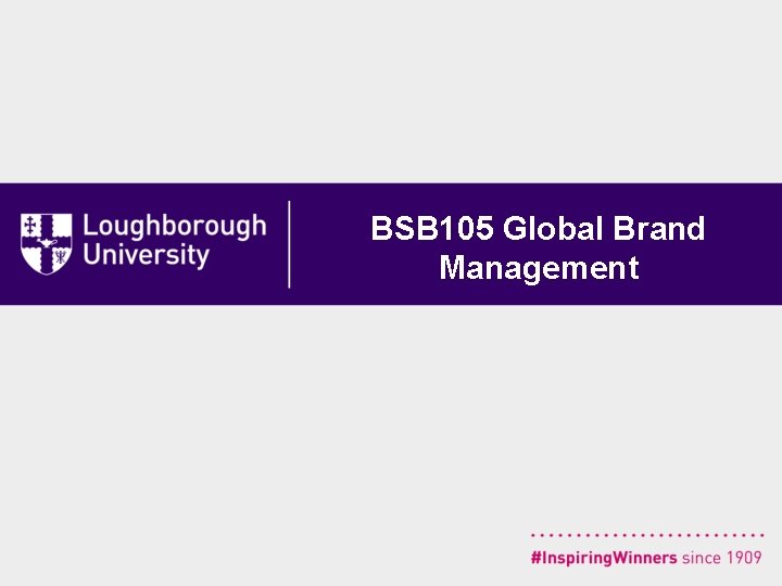 BSB 105 Global Brand Management 