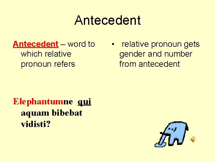 Antecedent – word to which relative pronoun refers Elephantumne qui aquam bibebat vidisti? •