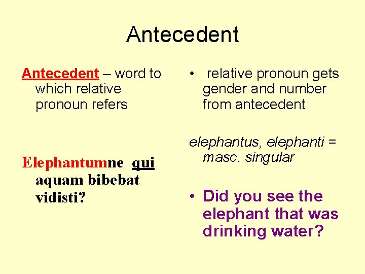Antecedent – word to which relative pronoun refers Elephantumne qui aquam bibebat vidisti? •