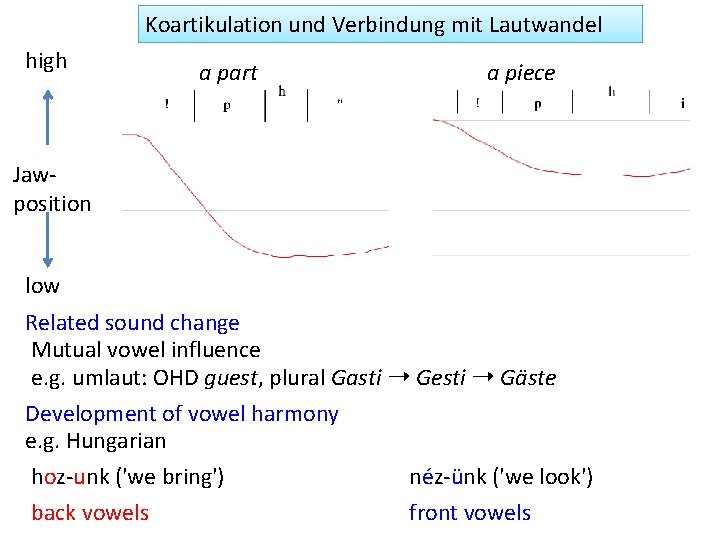 Koartikulation und Verbindung mit Lautwandel high a part a piece Jawposition low Related sound