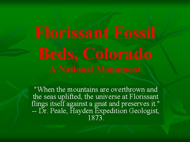 Florissant Fossil Beds, Colorado A National Monument "When the mountains are overthrown and the