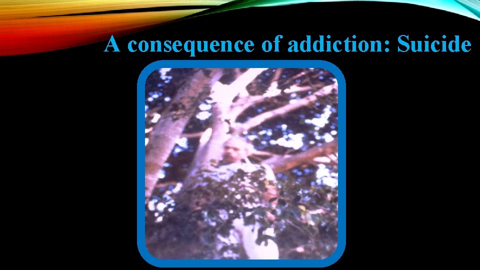 A consequence of addiction: Suicide 