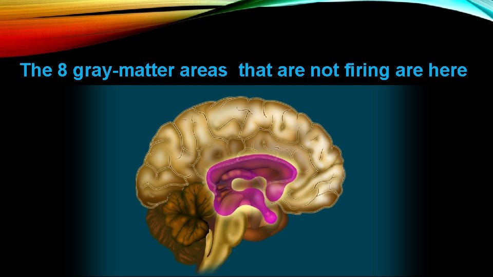 The 8 gray-matter areas that are not firing are here 