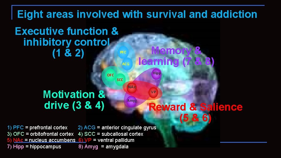 Eight areas involved with survival and addiction Executive function & inhibitory control (1 &