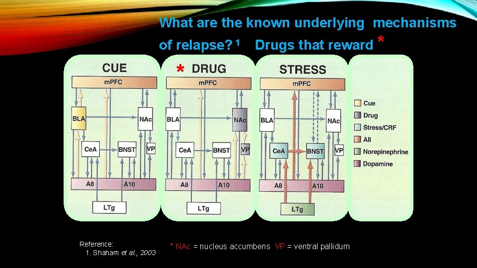 What are the known underlying mechanisms of relapse? 1 Drugs that reward * *