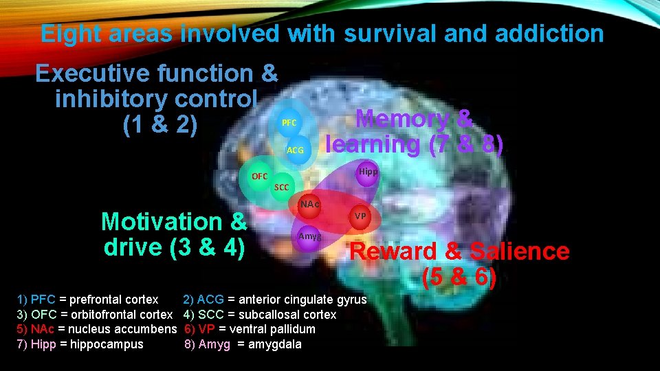 Eight areas involved with survival and addiction Executive function & inhibitory control (1 &