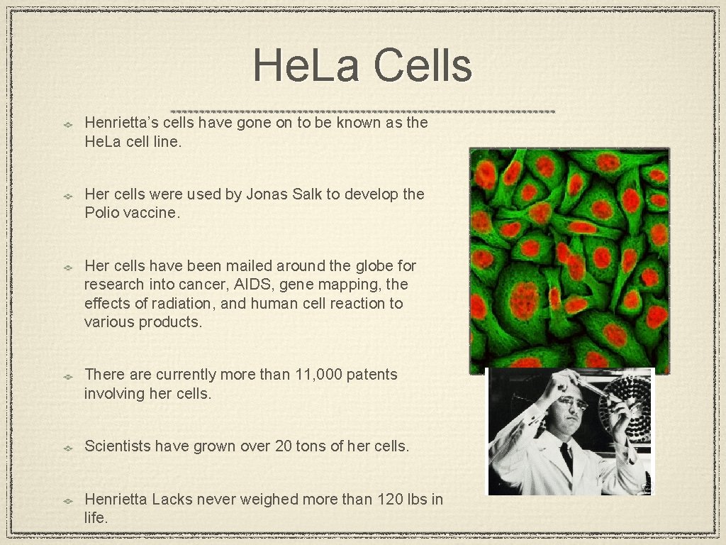 He. La Cells Henrietta’s cells have gone on to be known as the He.