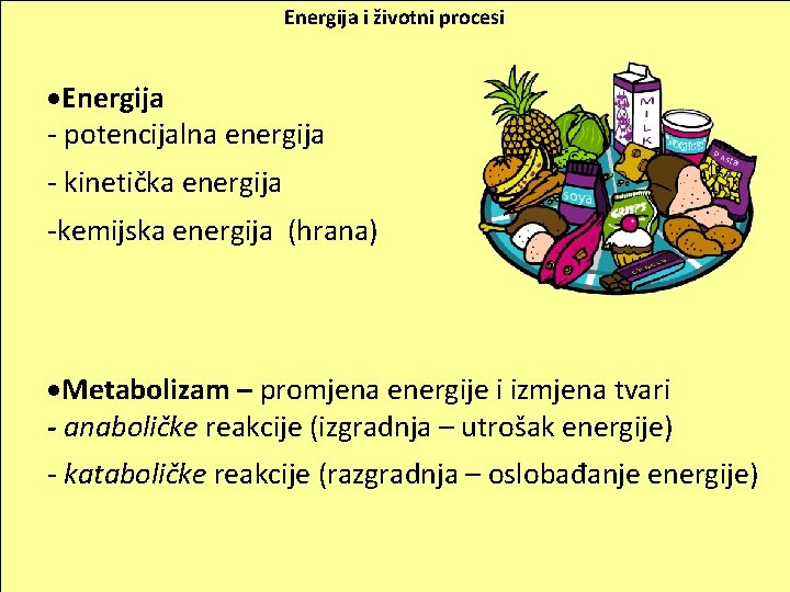 Energija i životni procesi ·Energija - potencijalna energija - kinetička energija FOTOSINTEZA -kemijska energija