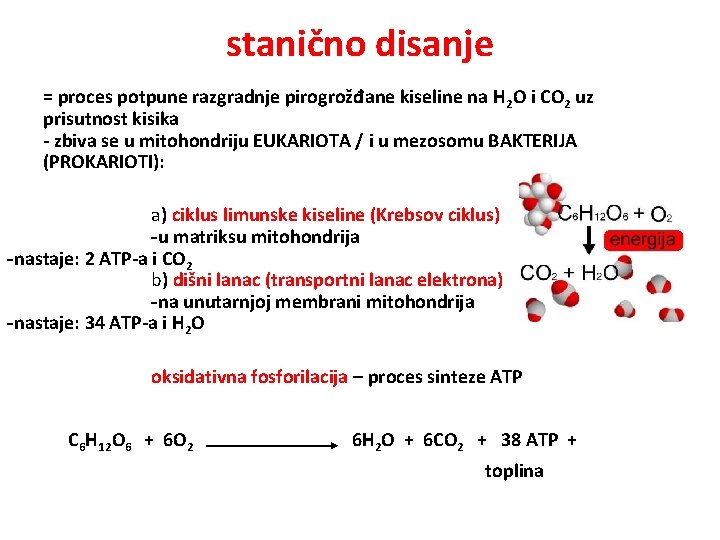 stanično disanje = proces potpune razgradnje pirogrožđane kiseline na H 2 O i CO