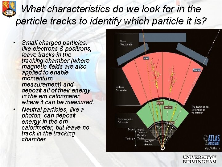 What characteristics do we look for in the particle tracks to identify which particle