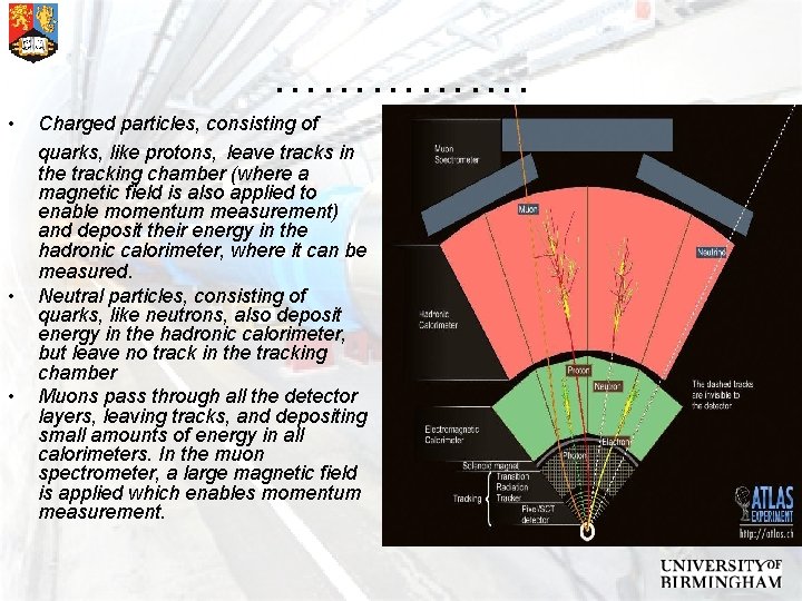 ……………. • • • Charged particles, consisting of quarks, like protons, leave tracks in