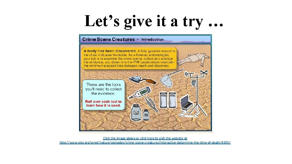 Let’s give it a try … Click the image above or click here to