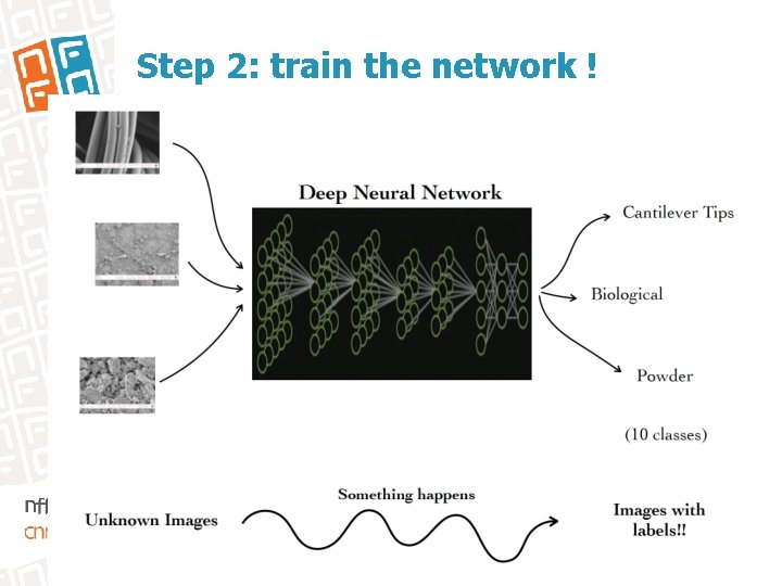 Step 2: train the network ! 