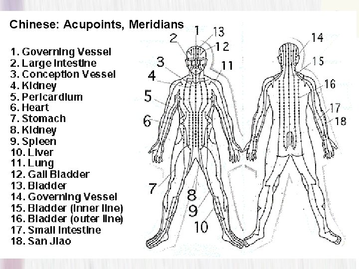 Chinese: Acupoints, Meridians 