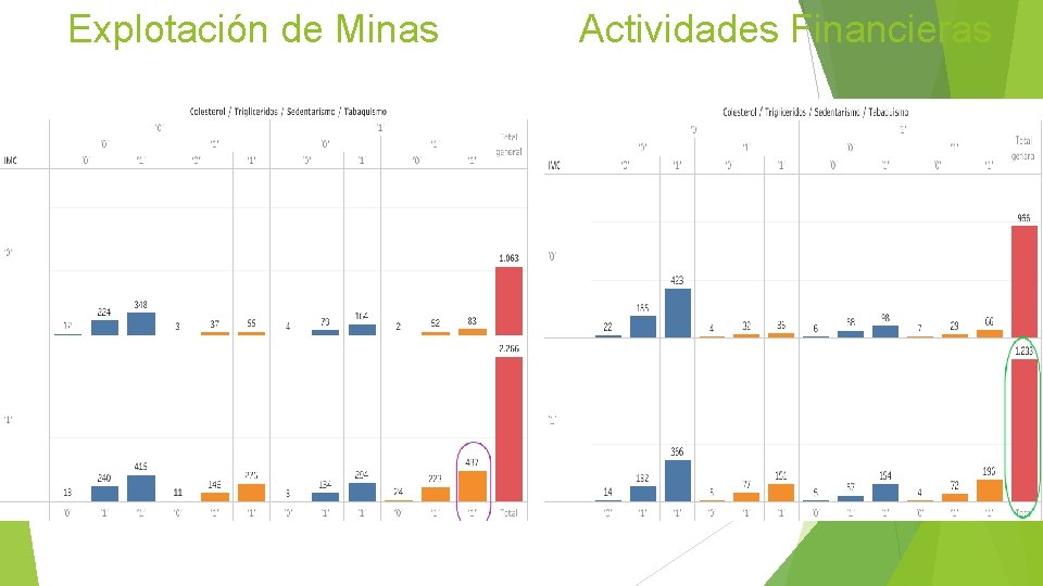 Explotación de Minas Actividades Financieras 