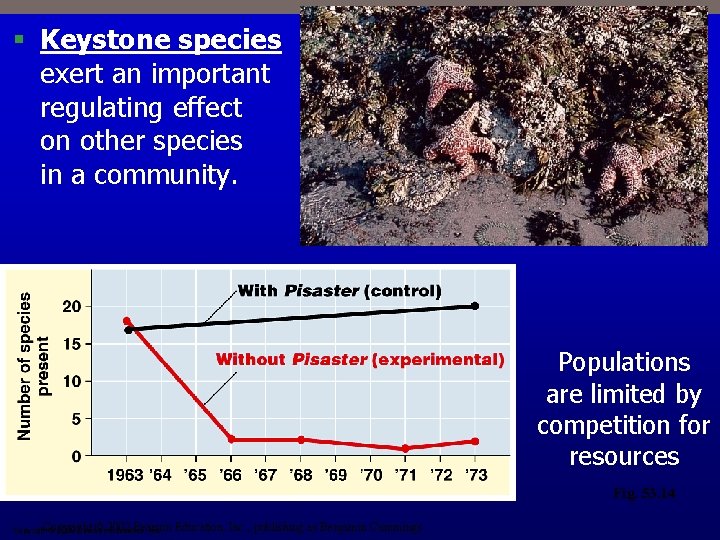 § Keystone species exert an important regulating effect on other species in a community.