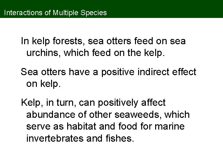 Interactions of Multiple Species In kelp forests, sea otters feed on sea urchins, which