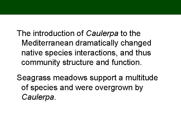 The introduction of Caulerpa to the Mediterranean dramatically changed native species interactions, and thus