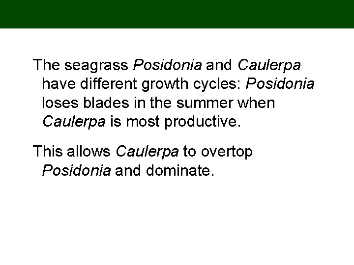 The seagrass Posidonia and Caulerpa have different growth cycles: Posidonia loses blades in the