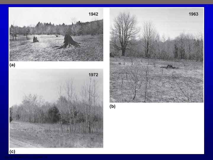 Copyright © 2009 Pearson Education, Inc. 