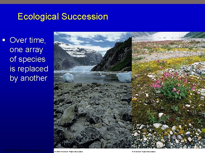 Ecological Succession § Over time, one array of species is replaced by another Copyright