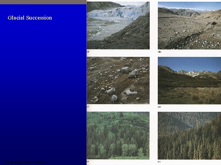 Glacial Succession Copyright © 2009 Pearson Education, Inc. 